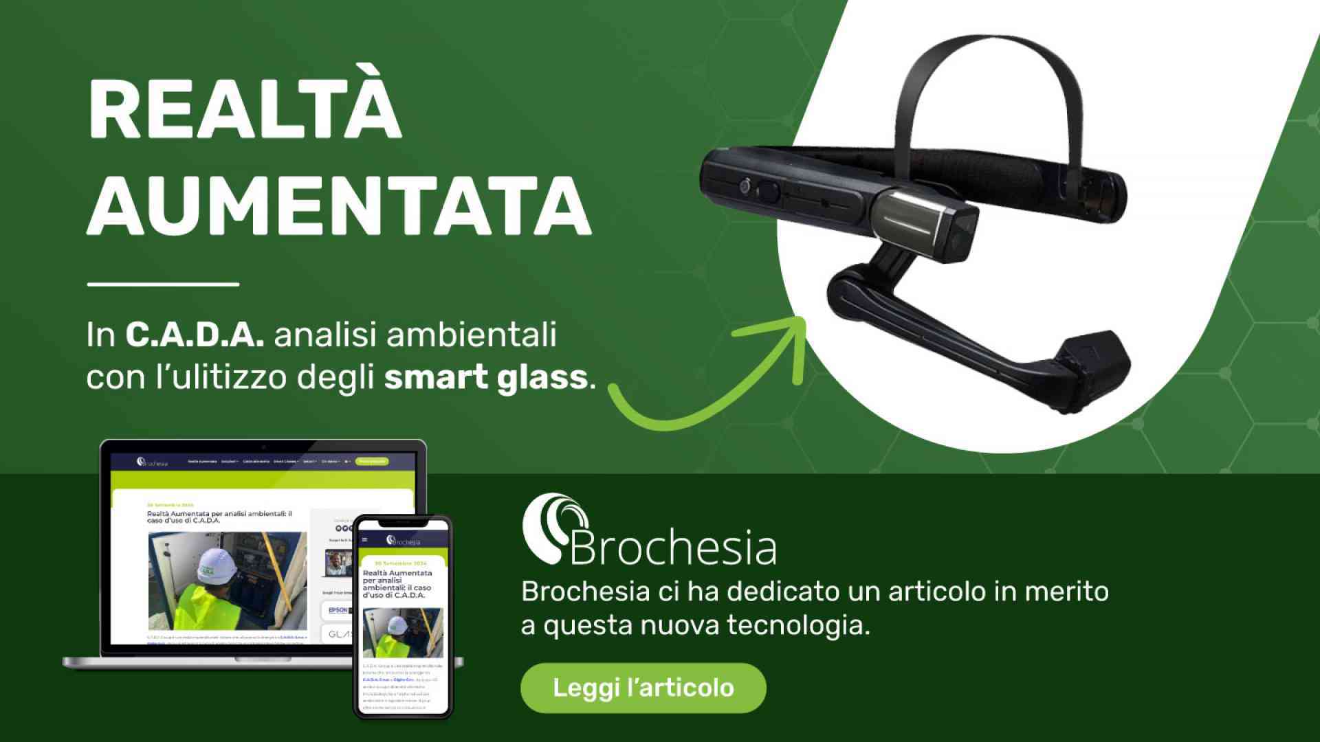 Cover articolo Brochesia